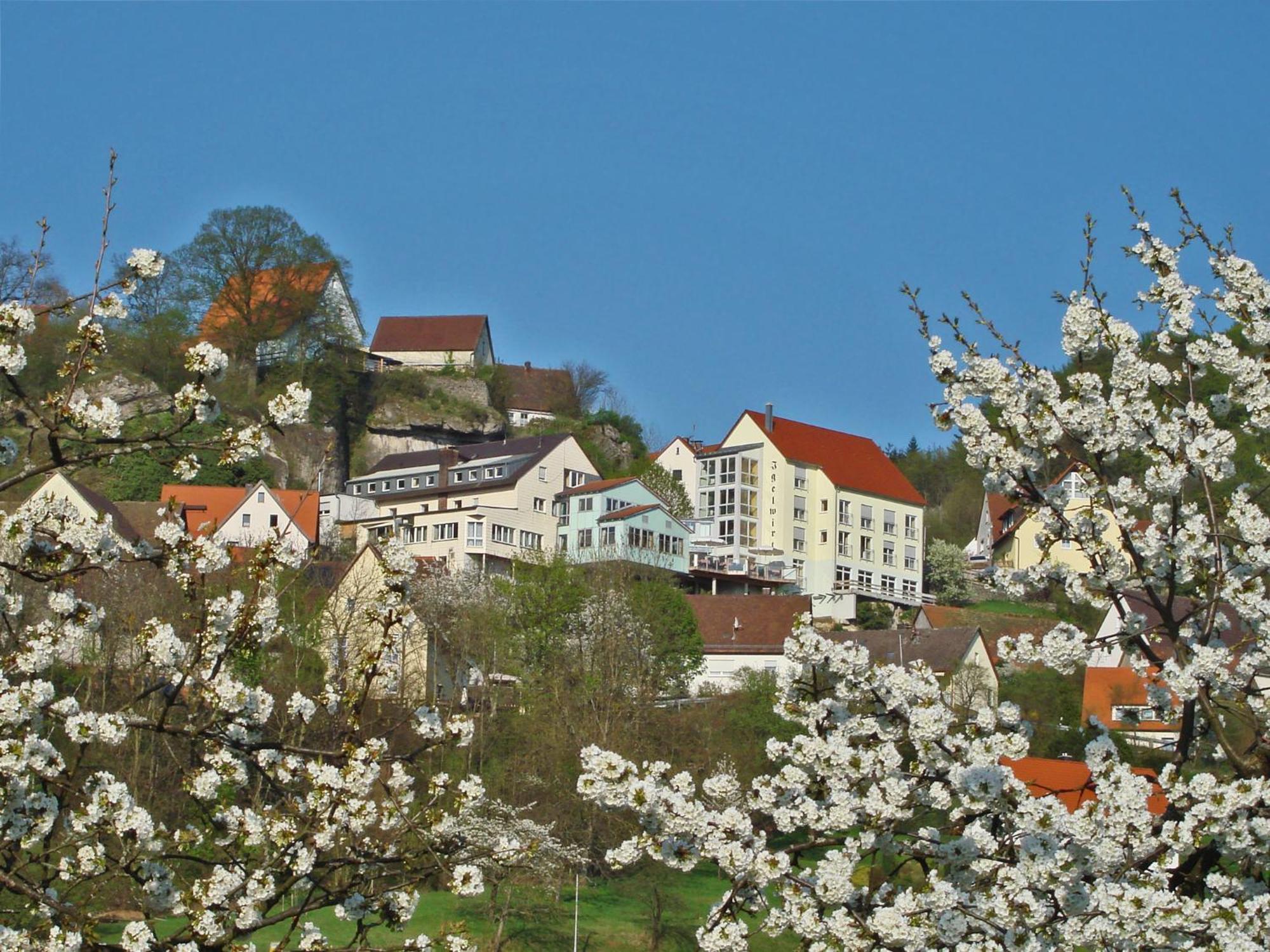 Berggasthof Hotel Igelwirt Schnaittach Kültér fotó